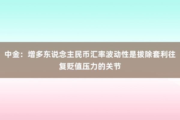 中金：增多东说念主民币汇率波动性是拔除套利往复贬值压力的关节