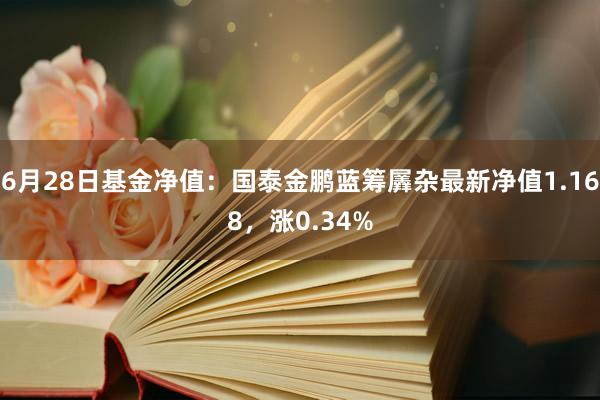 6月28日基金净值：国泰金鹏蓝筹羼杂最新净值1.168，涨0.34%