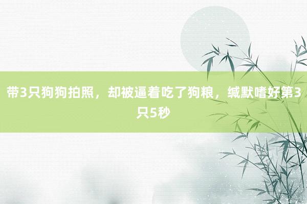 带3只狗狗拍照，却被逼着吃了狗粮，缄默嗜好第3只5秒