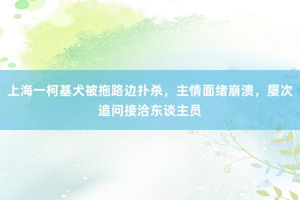 上海一柯基犬被拖路边扑杀，主情面绪崩溃，屡次追问接洽东谈主员