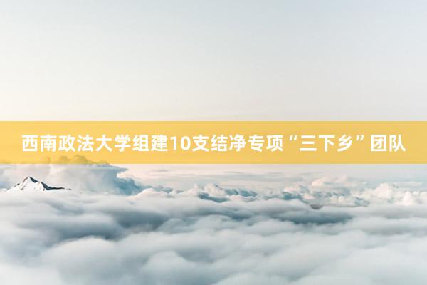 西南政法大学组建10支结净专项“三下乡”团队