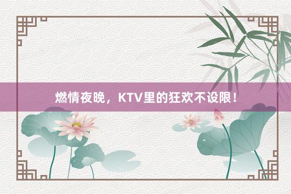 燃情夜晚，KTV里的狂欢不设限！