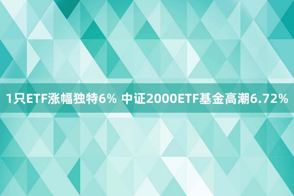 1只ETF涨幅独特6% 中证2000ETF基金高潮6.72%